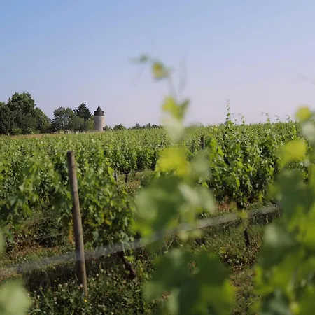 Dom wakacyjny Toujours Dimanche 5-story Windmill Vineyard Views Loubes-Bernac